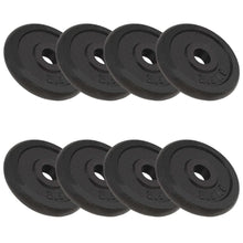 Halterschijven 8 st 8x2,5 kg gietijzer