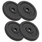 Weight plates 4 pcs 4x5 kg cast iron