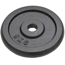 Halterschijven 4 St 4X5 Kg Gietijzer 4x 5 kg