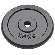 Halterschijven 4 St 4X7,5 Kg Gietijzer 4x 7.5 kg