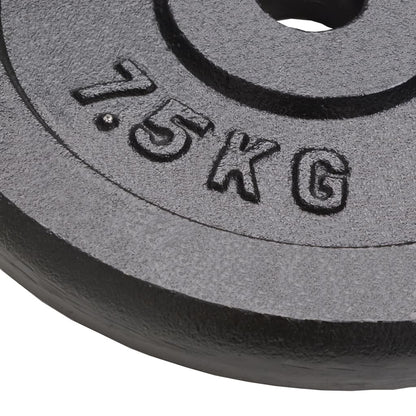 Halterschijven 4 St 4X7,5 Kg Gietijzer 4x 7.5 kg