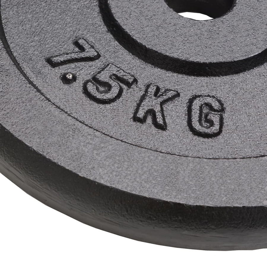Halterschijven 4 St 4X7,5 Kg Gietijzer 4x 7.5 kg