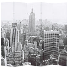 Kamerscherm New York Bij Daglicht 200X170 Cm Zwart En Wit 200 x 170 cm