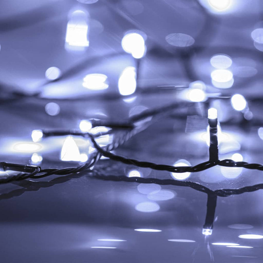 Lichtsnoer 1000 LED's binnen en buiten IP44 100 m koudwit 100 m Koudwit en zwart