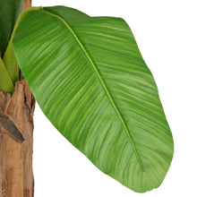 Kunst Bananenboom Met Pot 250 Cm Groen 250 cm