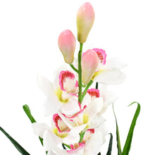 Kunstplant Met Pot Cymbidium Orchidee 00 Cm Groen Cymbidium orchidee/100 cm