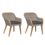 Tuinstoelen 2 stuks poly rattan bruin met kussens