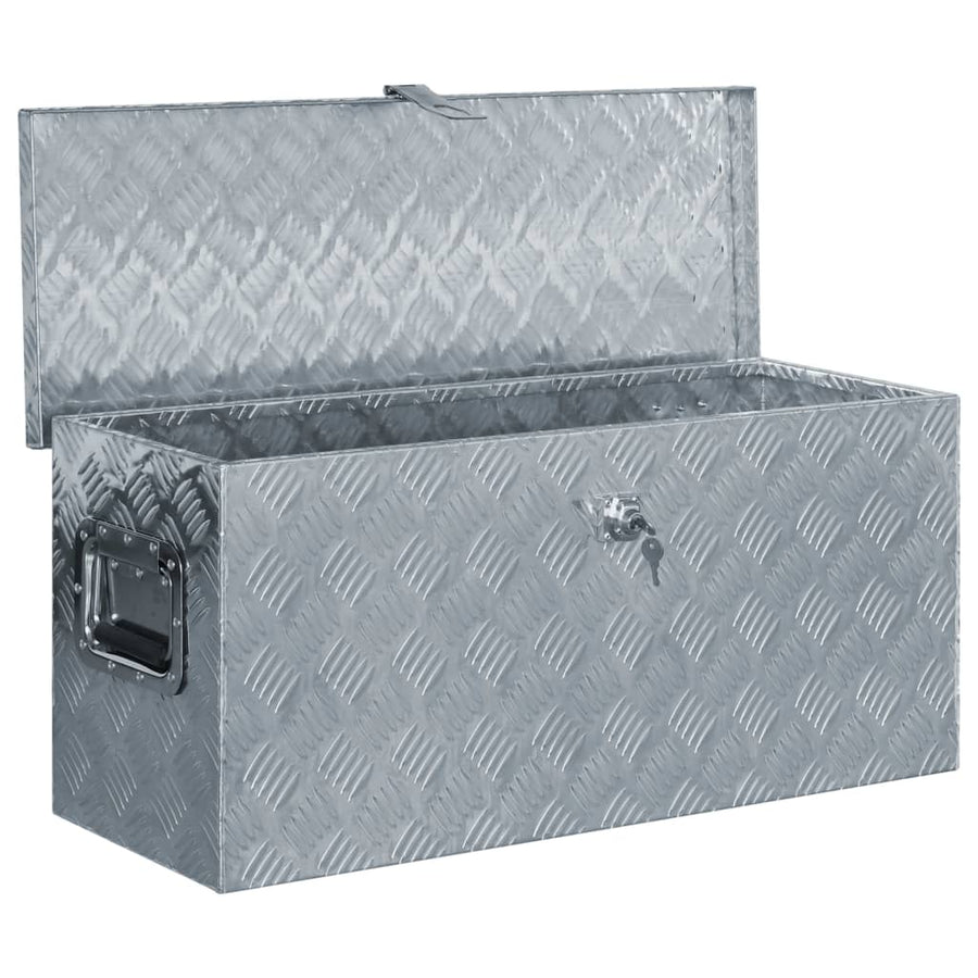 Aluminium Kist Kleurig 80 x 30 x 35 cm Zilver