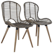 Eetkamerstoelen 2 stuks polyrattan bruin