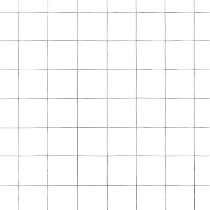 Kippengaas 25x0,5 m gegalvaniseerd staal zilverkleurig 19 x 19 mm 25 x 0.5 m