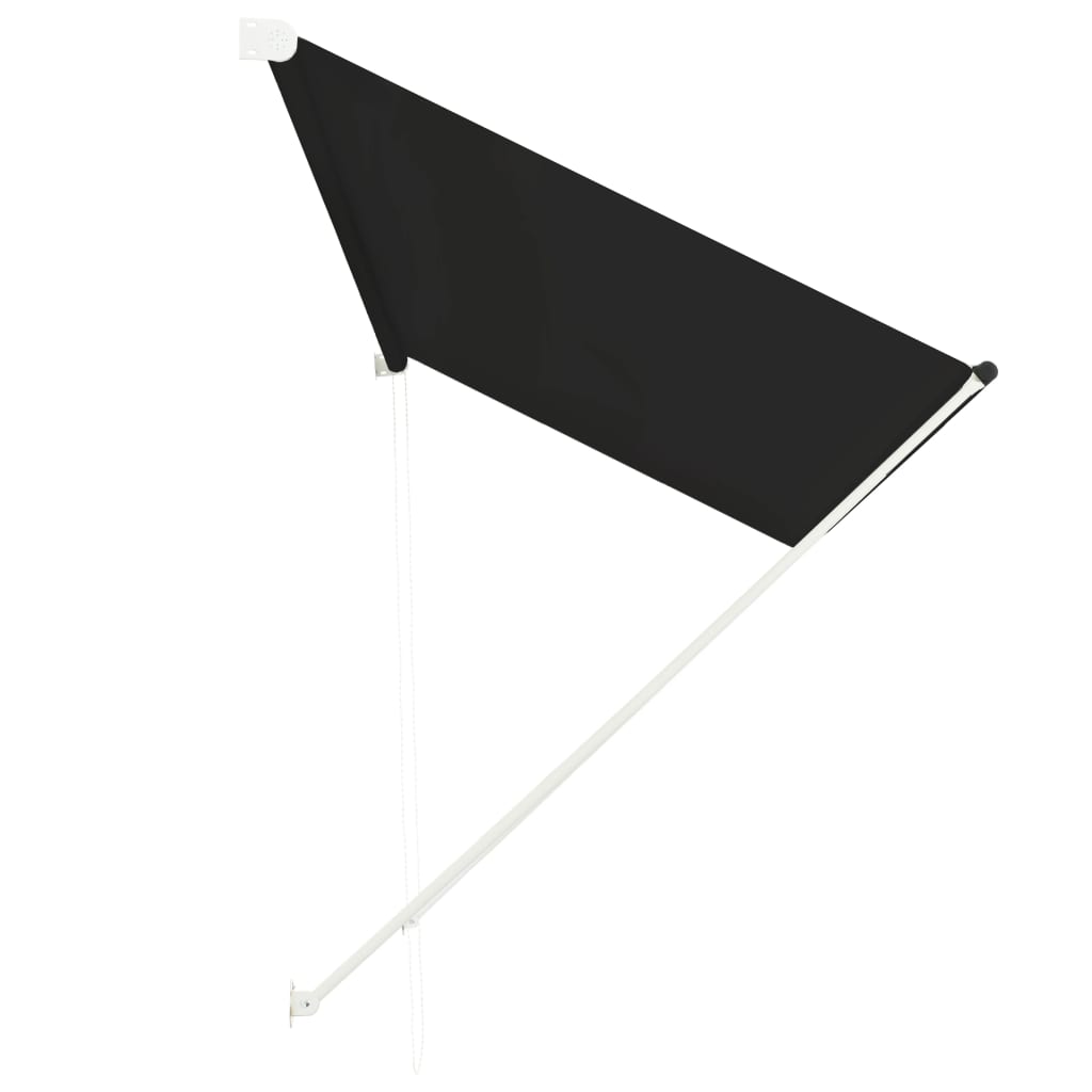 Luifel Uittrekbaar 300 x 150 cm Antraciet