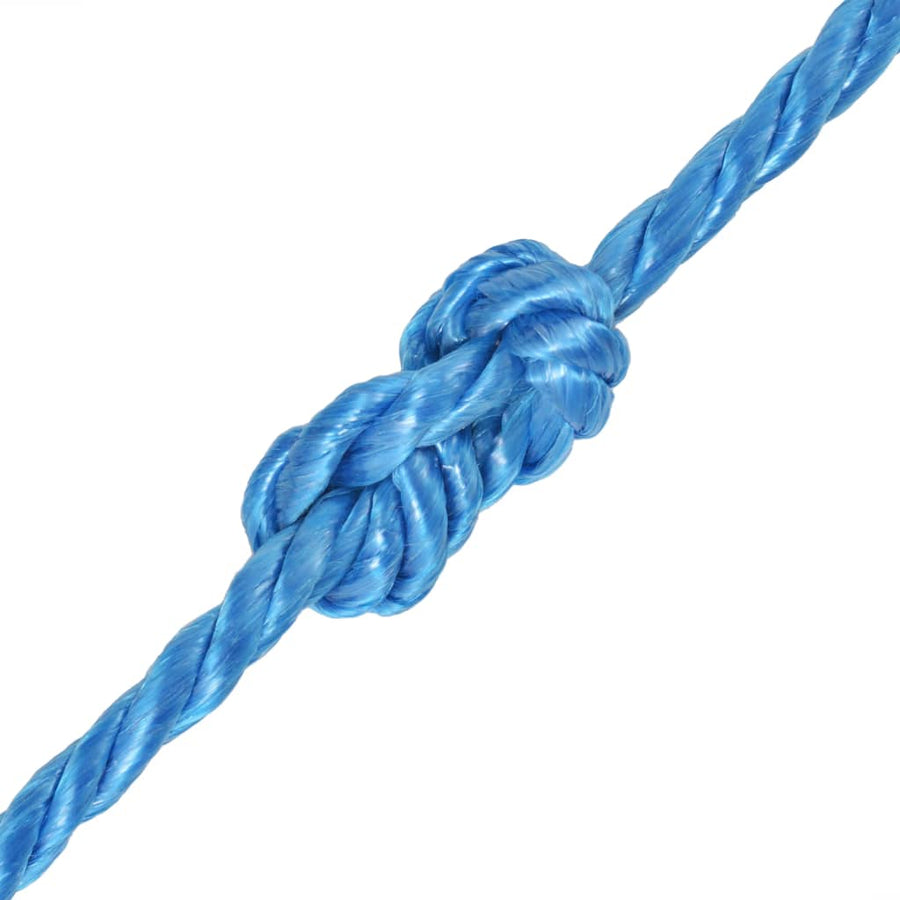 Touw Gedraaid 2 Mm Polypropyleen Blauw 12 mm 500 m