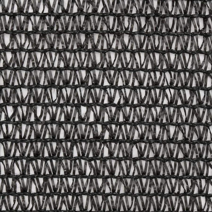 Privacynet Hdpe 2 x 10 m