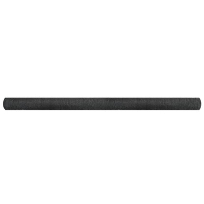 Privacynet Hdpe 2 x 10 m