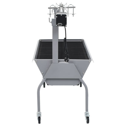 Draaispit Barbecue Met Elektrische Motor