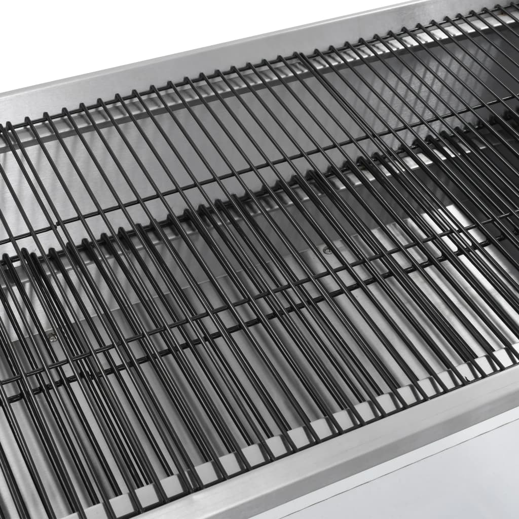 Draaispit Barbecue Met Elektrische Motor