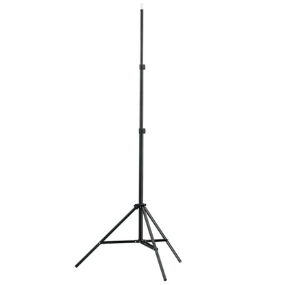 Studioset Met E Achtergrond En Lampen 600X300 Cm Zwart