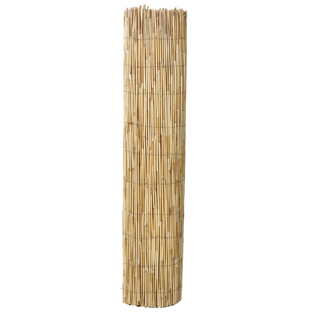 Scherm 150x500 cm riet
