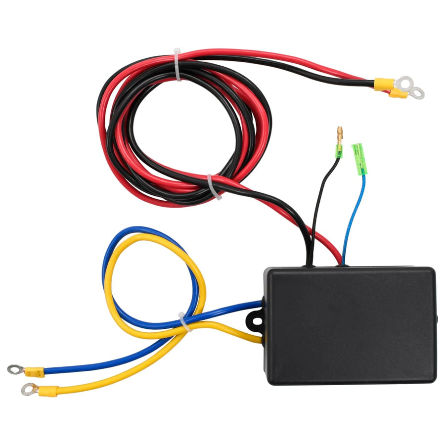 Elektrische Lier 12 V 1360 Kg Met Montageplaat En Rollenvenster