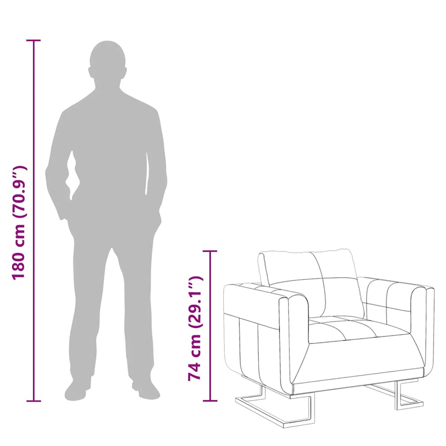 Fauteuil Met Verchroomde Poten Kubus Kunstleer 1