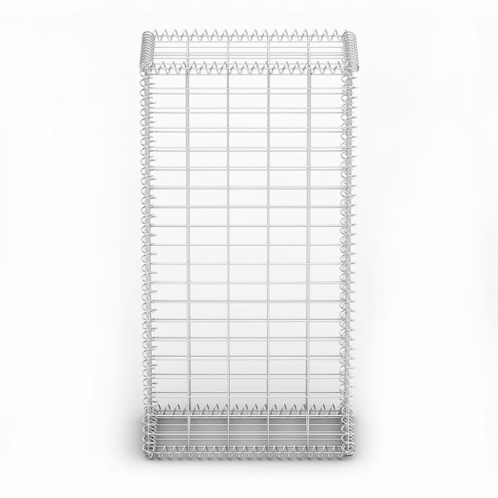 Schanskorf met deksels 100x50x30 cm gegalvaniseerd draad 100 x 50 x 30 cm