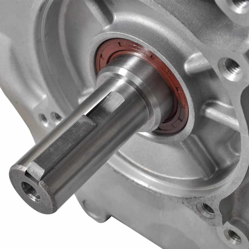 Benzinemotor 15 Pk 11 Kw Zwart