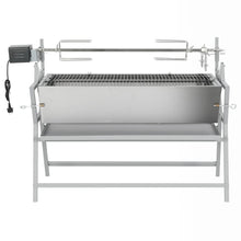 Draaispit Barbecue Ijzer En Roestvrij Staal