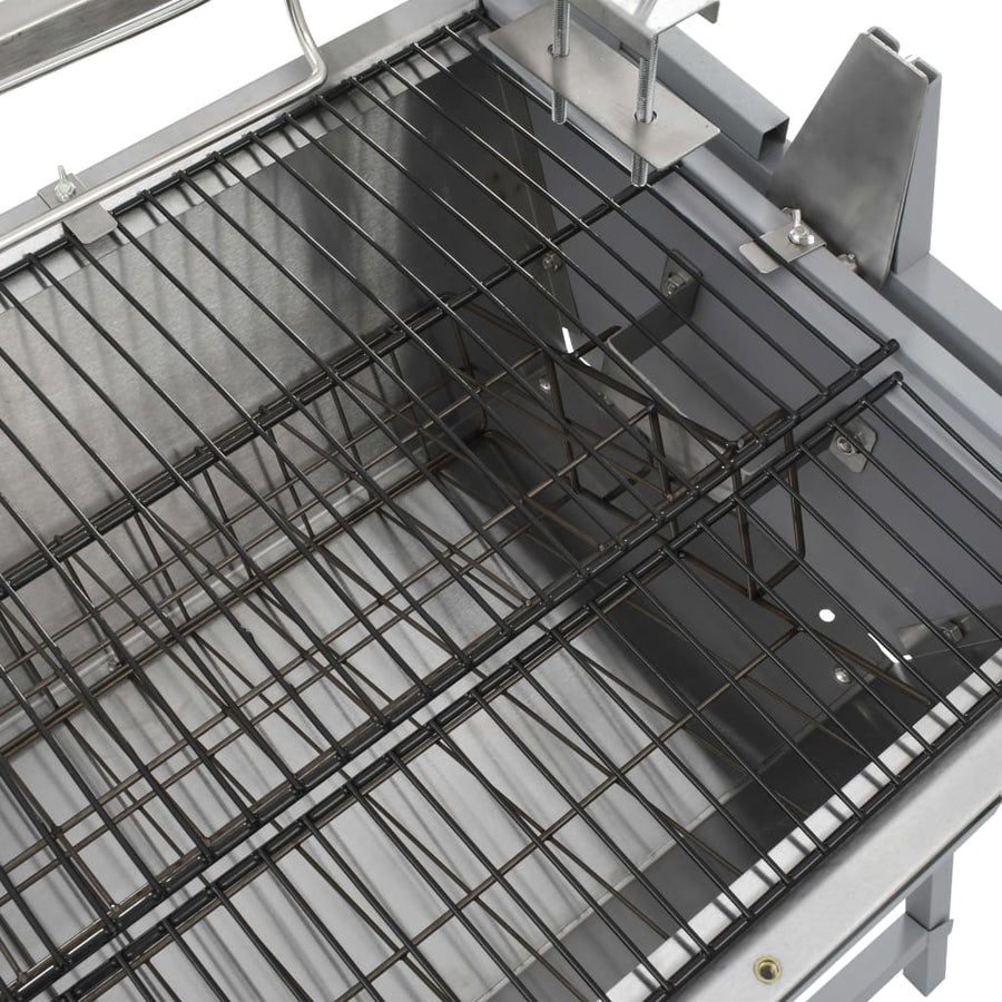 Draaispit Barbecue Ijzer En Roestvrij Staal