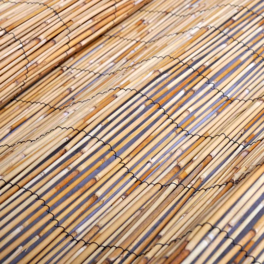 Tuinscherm 500X100 Cm Riet 500 x 100 cm