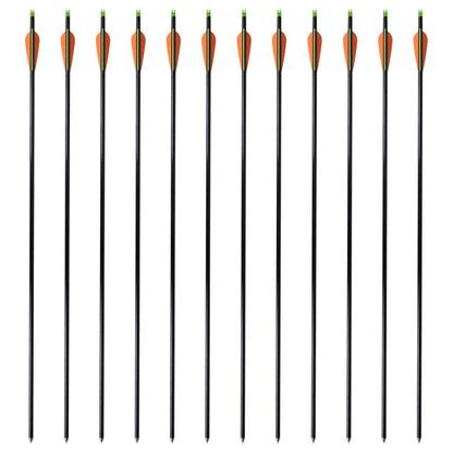 Pijlen Compoundboog Standaard 30" 0,8 Cm Glasvezel 12 Stuks 0.8 cm