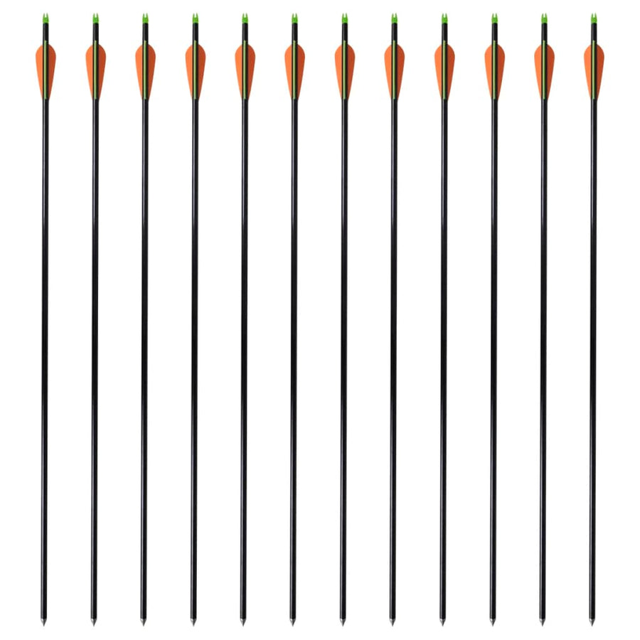 Pijlen Compoundboog Standaard 30" 0,8 Cm Glasvezel 12 Stuks 0.8 cm