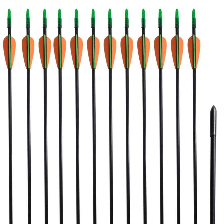 Pijlen Voor Recurveboog Standaard 30" 0,6 Cm Glasvezel 12 Stuks 0.6 cm