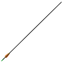 Pijlen Voor Recurveboog Standaard 30" 0,6 Cm Glasvezel 12 Stuks 0.6 cm