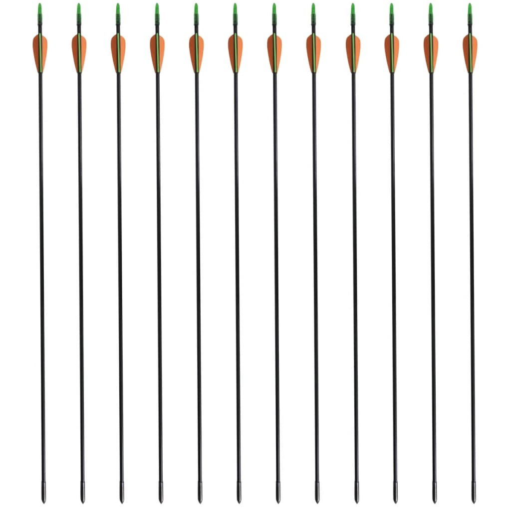 Pijlen Voor Recurveboog Standaard 30" 0,6 Cm Glasvezel 12 Stuks 0.6 cm