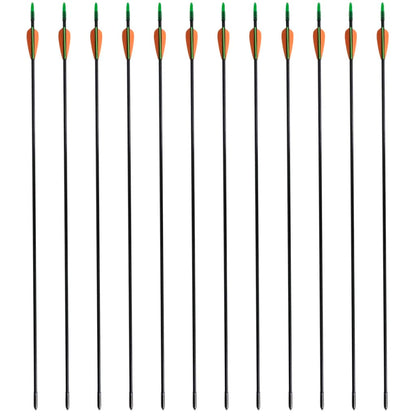 Pijlen Voor Recurveboog Standaard 30" 0,6 Cm Glasvezel 12 Stuks 0.6 cm