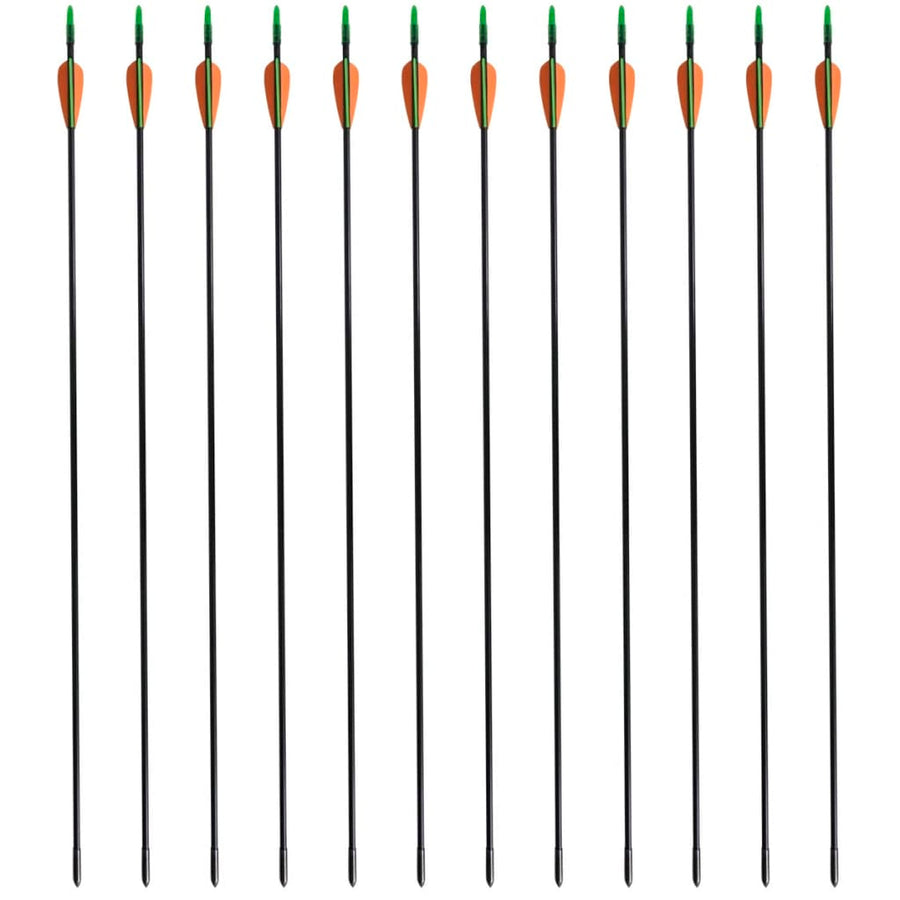 Pijlen Voor Recurveboog Standaard 30" 0,6 Cm Glasvezel 12 Stuks 0.6 cm