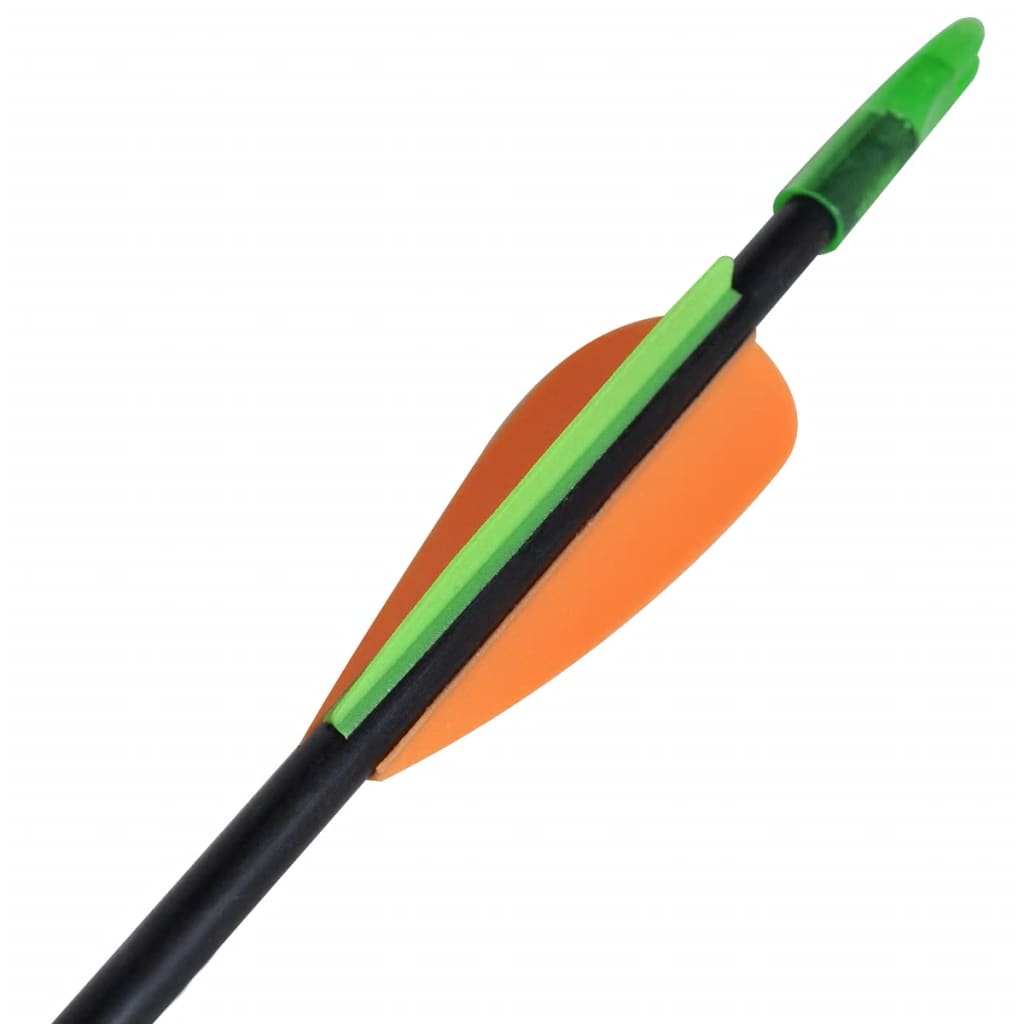 Pijlen Voor Recurveboog Standaard 30" 0,6 Cm Glasvezel 12 Stuks 0.6 cm