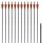 Pijlen recurveboog 30 inch koolstof 12 stuks