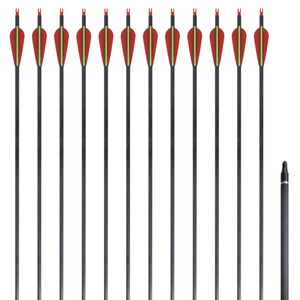 Pijlen Voor Recurveboog Standaard 30" 0,76 Cm Koolstof 12 Stuks
