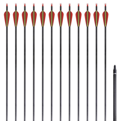 Pijlen Voor Recurveboog Standaard 30" 0,76 Cm Koolstof 12 Stuks