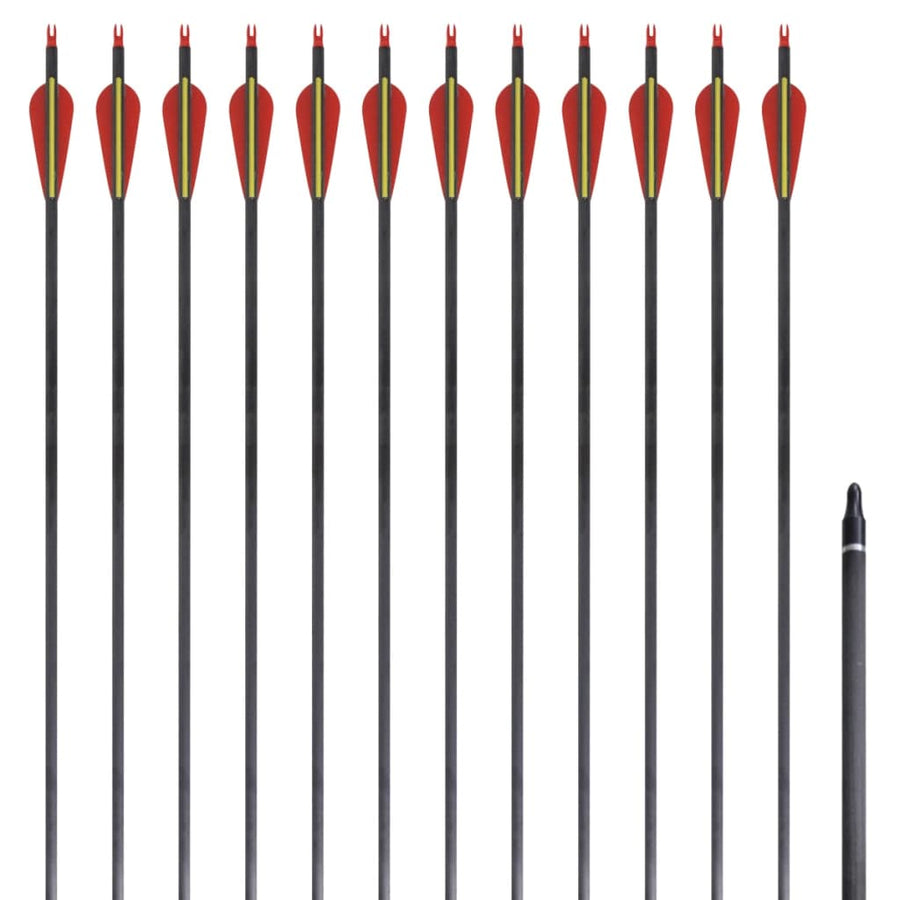 Pijlen Voor Recurveboog Standaard 30" 0,76 Cm Koolstof 12 Stuks