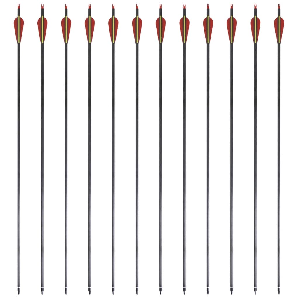 Pijlen Voor Recurveboog Standaard 30" 0,76 Cm Koolstof 12 Stuks