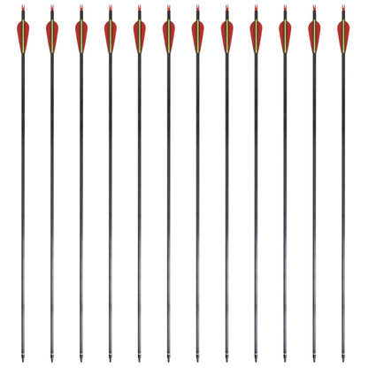 Pijlen Voor Recurveboog Standaard 30" 0,76 Cm Koolstof 12 Stuks