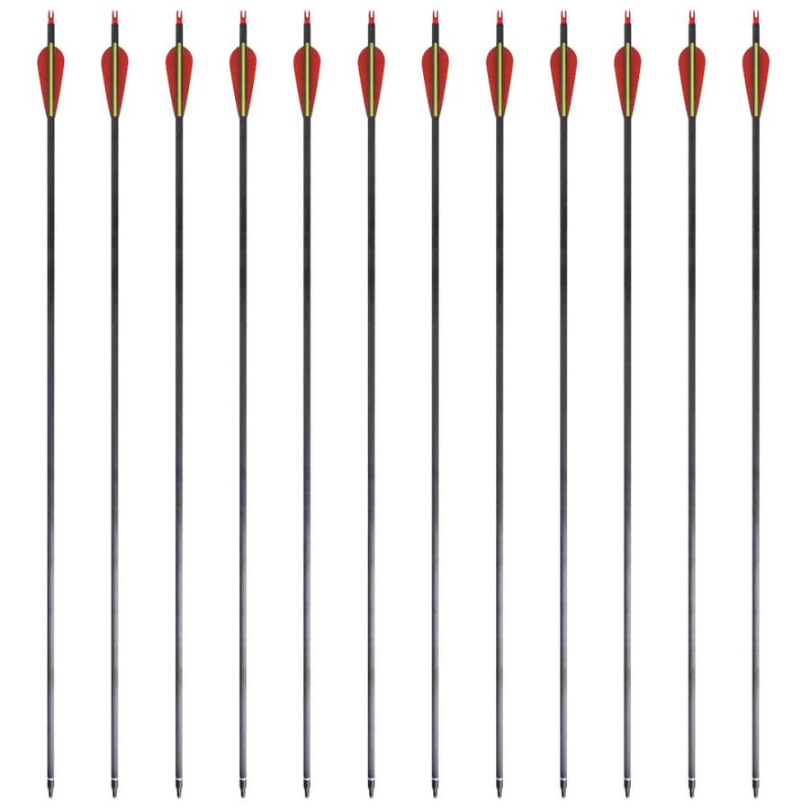 Pijlen Voor Recurveboog Standaard 30" 0,76 Cm Koolstof 12 Stuks