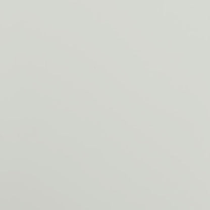 Kantoorkast Met 2 Deuren 90 Cm Staal Grijs 90 x 40 x 90 cm Lichtgrijs