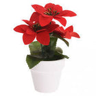 Kerstplant rood keramiek pot