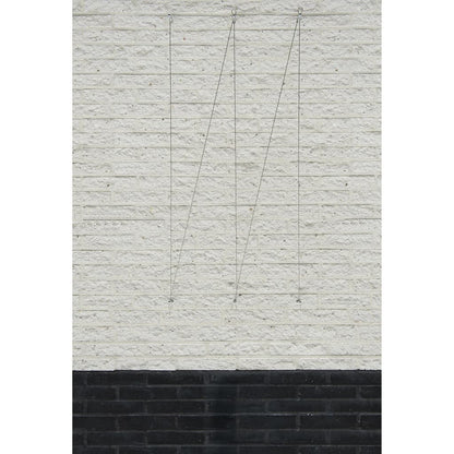 Nature Spandraadsytemen Voor Klimplanten St 2