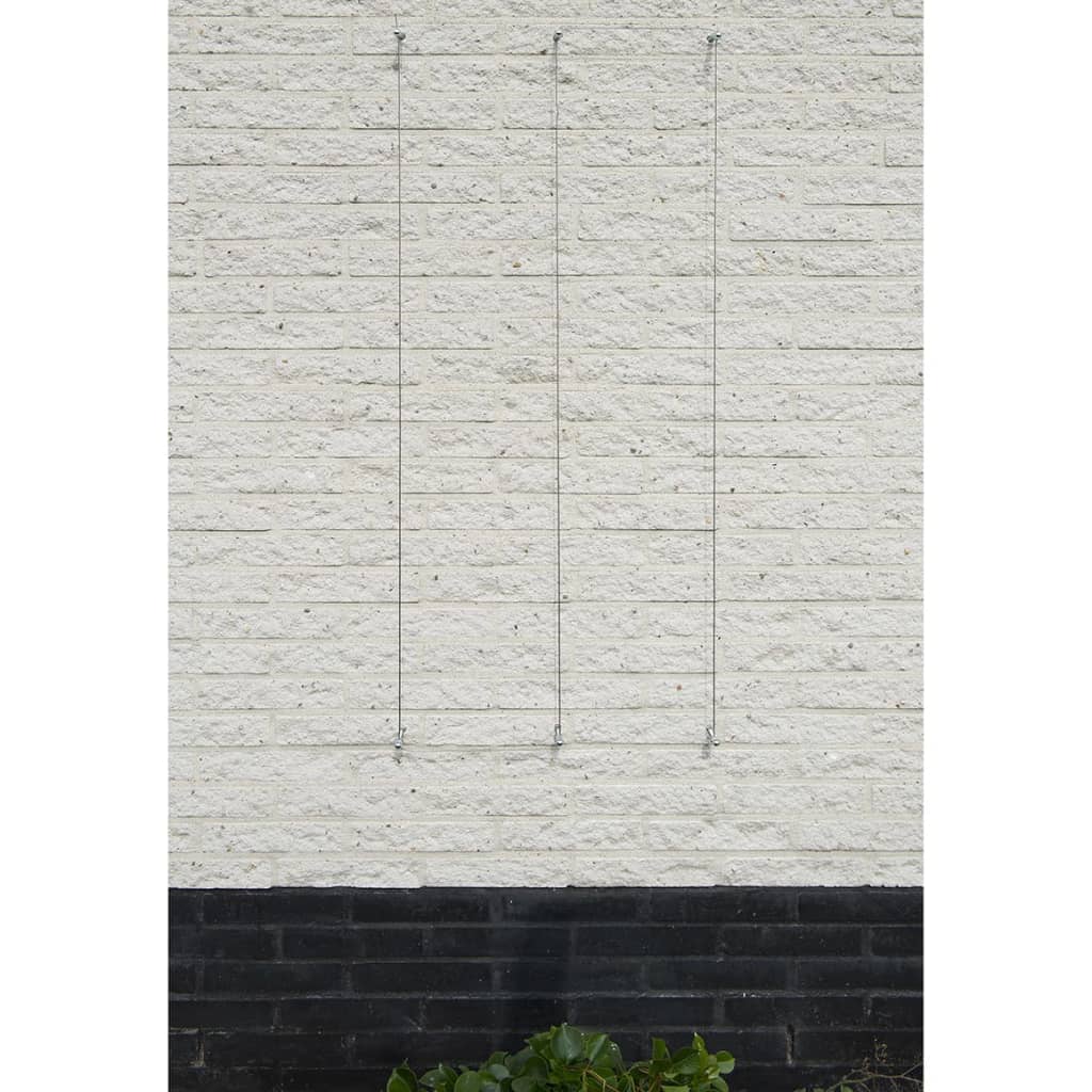 Nature Spandraadsytemen Voor Klimplanten St 2