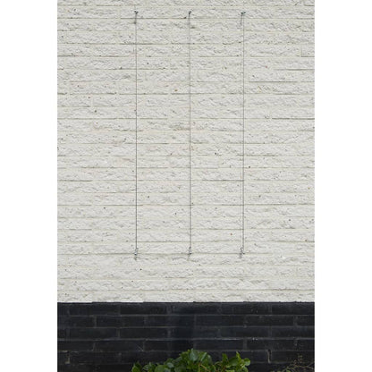 Nature Spandraadsytemen Voor Klimplanten St 2