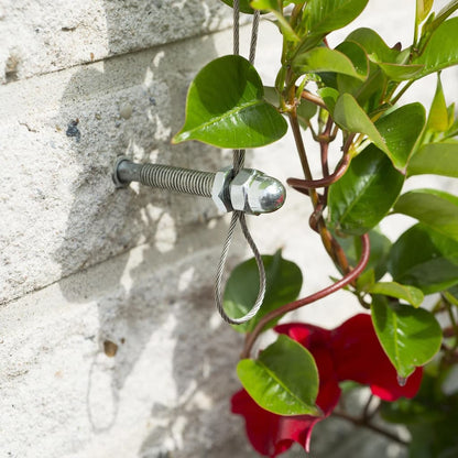 Nature Spandraadsytemen Voor Klimplanten St 2